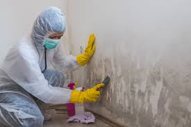 Best Mold Odor Removal Services  in Florence Graham, CA